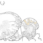 Three Mushrooms (digital art / WIP)
