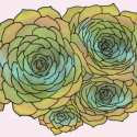 Six Succulents (digital art, version 1)