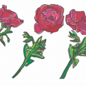 Beginning the Year + Three Roses (digital art)