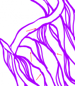 After the lines are drawn and everything has shaped up to an agreeable form, it's time for smoothing all the jagged lines. The red arrows indicate problem areas I worked out.