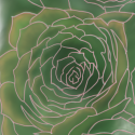Six Succulents (digital art, version 2 / WIP)