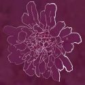 Purple Flower – Line Art (digital)
