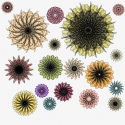 Watercolor Symmetrical Flowers (digital)