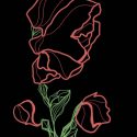 Neon Rose (Digital Drawing)